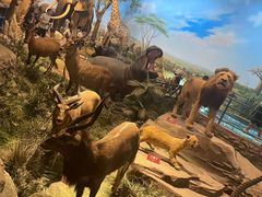 -陕西自然博物馆