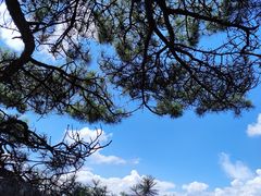 -萍乡武功山风景名胜区