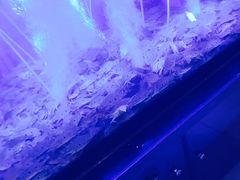 -三亚胜意海景酒店·海鲜自助餐厅(三亚湾路店)