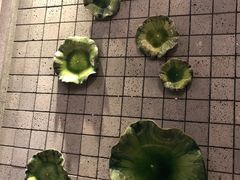 -品粹徽园·家常安徽菜