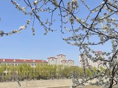 -桃花堤公园