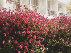 -大连外国语大学(旅顺校区)