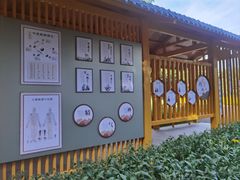 -太阳宫公园