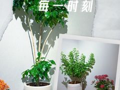 -十二舍·湯物素煮(江泰潤政店)