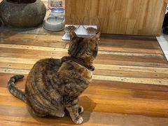 -猫的天空之城概念书店(杭州南宋御街店)