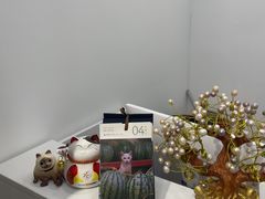 -Pets First伊珊娜洗护·精致美容·家庭式寄养(新会路店)