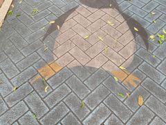 -北极阁公园