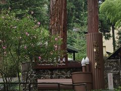 -东天目山风景区
