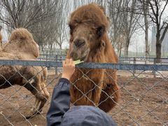 -长白岛森林公园