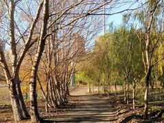 -长白岛森林公园