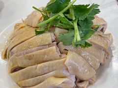 白斩鸡-振鼎鸡(福州路店)