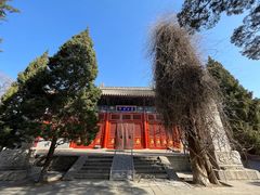 -北京艺术博物馆(万寿寺)