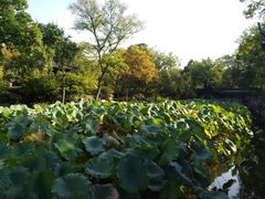 -拙政园