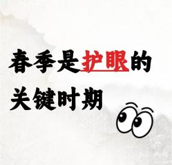 -雅曼妮spa美容养生