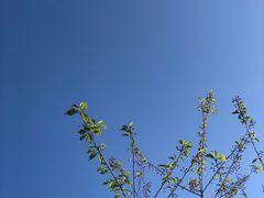 -金鸡山公园