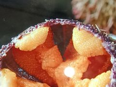 -極上萬膳·日料放题(来福士江景店)