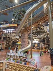 -卡通尼·Safari非洲探索乐园·生日会(金桥国际商业广场店)