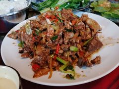 现杀果园鸡—黄焖鸡-生态苑农庄(十里画廊遇龙河店)