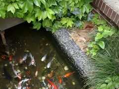 201105022966-名汇粤菜馆(黄兴路店)