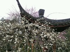 -日出青木·杭帮菜名店
