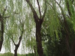 -玲珑塔公园