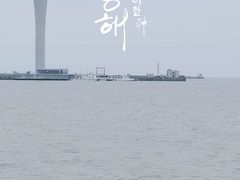 -上海吴淞炮台湾国家湿地公园