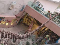 -陕西自然博物馆