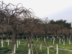 -白塘生态植物园