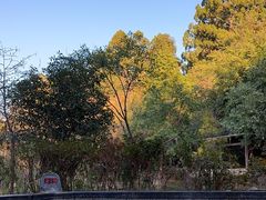 -和顺柏联温泉