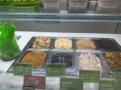 -Salud撒露欧洲冻酸奶(北苑上品店)