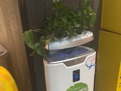 -番食园鲜食火锅(高新店)