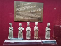 -亳州博物馆