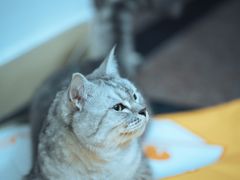 -麦当劳(海岸城店)