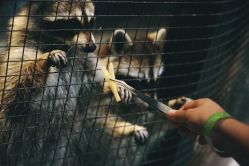 -酷嗒动物文化乐园(cutezoo西溪乐天城店)