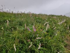 -白草畔自然风景区