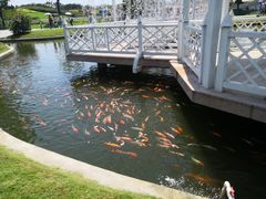 -迪茵湖田家舍生态农场