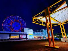 -大阪海游馆