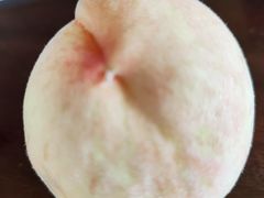 -南汇新场正宗水蜜桃采摘