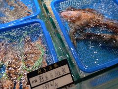 -御同亨酒楼·喜宴