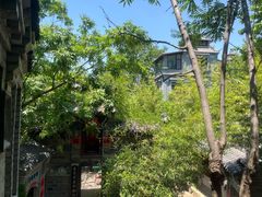 -老张烤羊(王哥庄店)