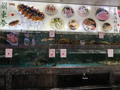 -宝燕壹号(徐汇店)
