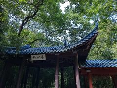 -赭山公园