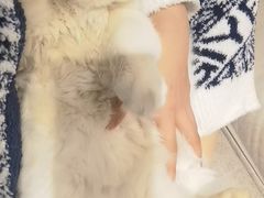 -达爱动物医院·犬猫分区·CT·复杂眼科(远洋山水分院)