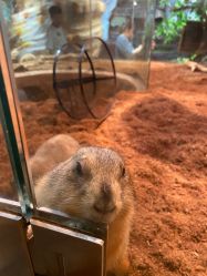 -Zoolung Zoolung动物主题公园(海信广场店)