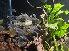 -太平洋海底世界