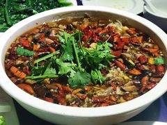 -佶政筋饼·新概念(安阳路店)