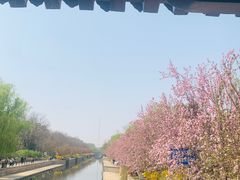 -元大都城垣遗址公园