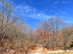 -北京西山国家森林公园