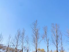 -西安浐灞国家湿地公园