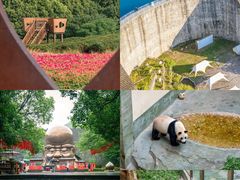 -紫藤园·天目湖大鱼头(南山竹海店)